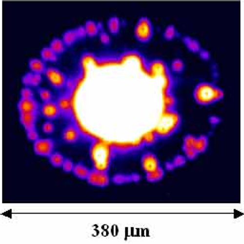 Excitons condense and form droplets, which can be explained by strong phase fluctuations in the condensate. The phenomenon is similar to superconductor-insulator quantum transition.