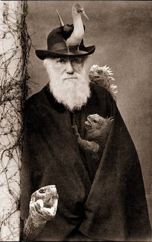 Charles Darwin Photoshop Tennis Contest